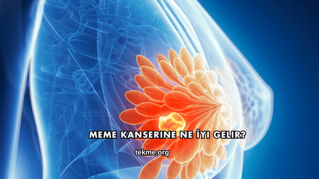 Meme Kanserine Ne İyi Gelir?