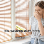 Toz Alerjisine Ne İyi Gelir?