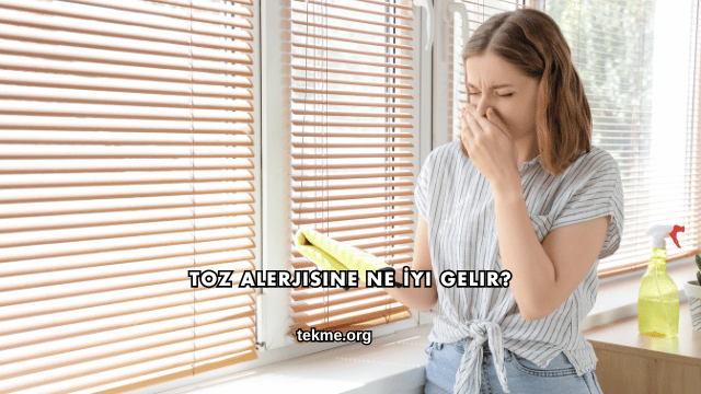 Toz Alerjisine Ne İyi Gelir?