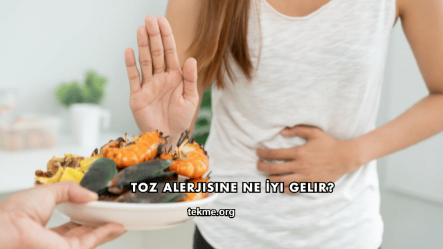 Toz Alerjisine Ne İyi Gelir?