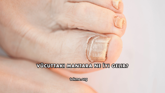 Vücuttaki Mantara Ne İyi Gelir?