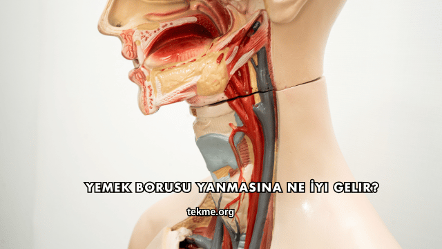Yemek Borusu Yanmasına Ne İyi Gelir?