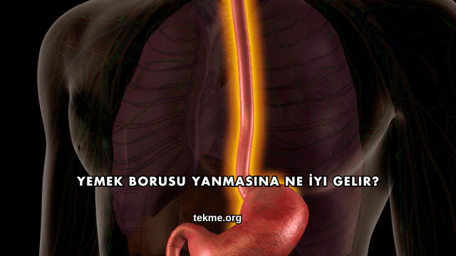 Yemek Borusu Yanmasına Ne İyi Gelir?