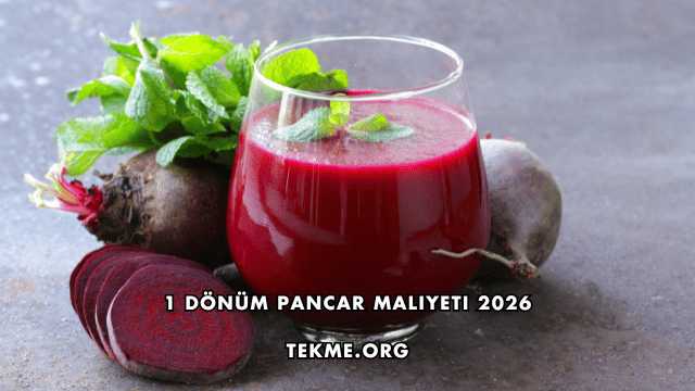1 Dönüm Pancar Maliyeti 2026