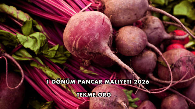 1 Dönüm Pancar Maliyeti 2026