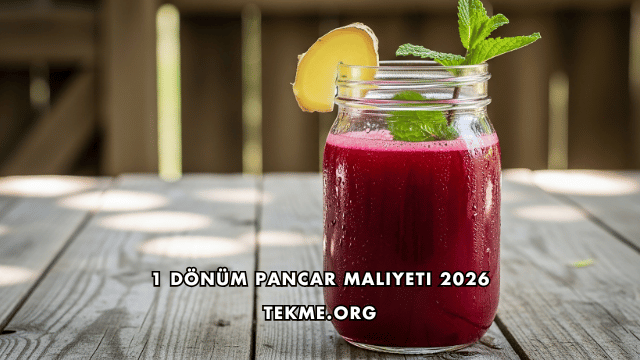 1 Dönüm Pancar Maliyeti 2026