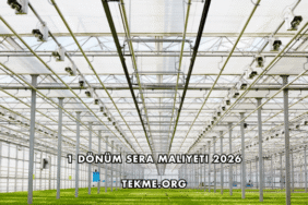 1 Dönüm Sera Maliyeti 2026