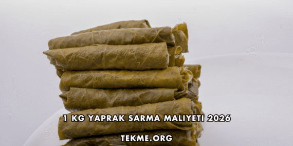 1 Kg Yaprak Sarma Maliyeti 2026