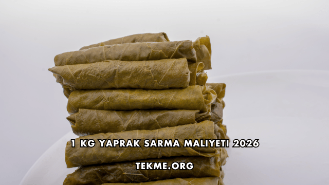 1 Kg Yaprak Sarma Maliyeti 2026