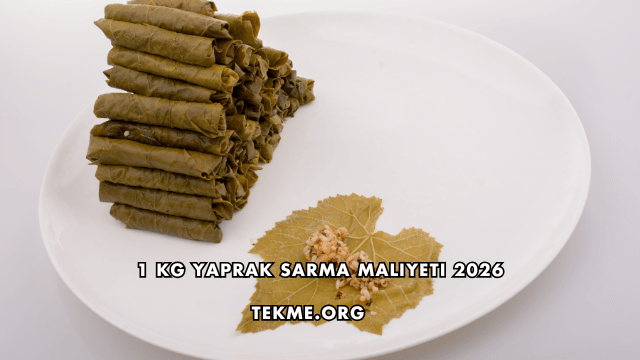 1 Kg Yaprak Sarma Maliyeti 2026