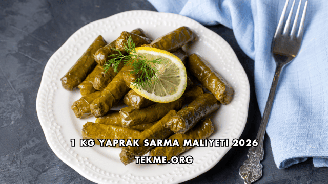1 Kg Yaprak Sarma Maliyeti 2026