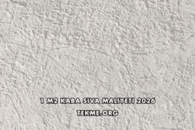 1 m2 Kaba Sıva Maliyeti 2026