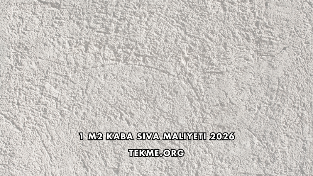 1 m2 Kaba Sıva Maliyeti 2026