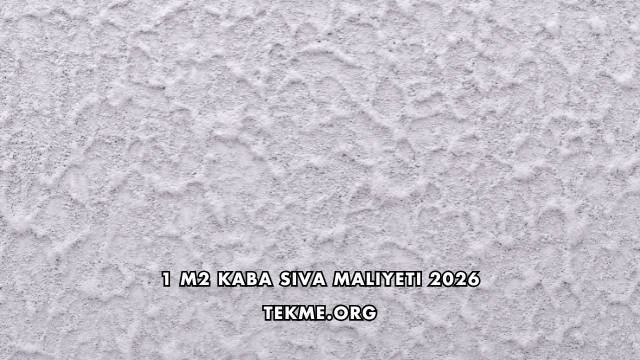 1 m2 Kaba Sıva Maliyeti 2026