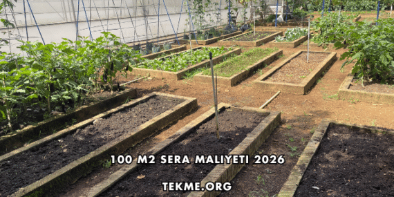 100 m2 Sera Maliyeti 2026