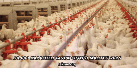 20.000 Kapasiteli Tavuk Çiftliği Maliyeti 2026