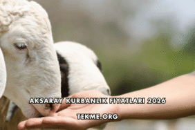 Aksaray Kurbanlık Fiyatları 2026