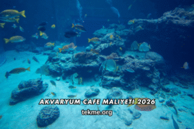 Akvaryum Cafe Maliyeti 2026