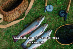 Alabalık Çiftliği Maliyeti 2026