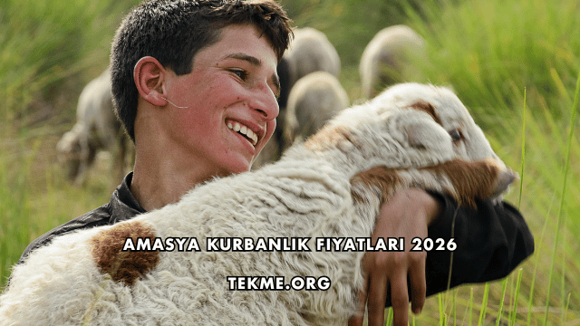 Amasya Kurbanlık Fiyatları 2026