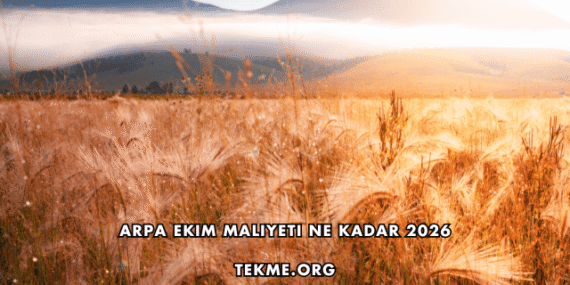Arpa Ekim Maliyeti Ne Kadar 2026