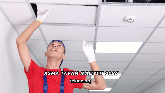 Asma Tavan Maliyeti 2026