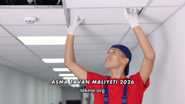 Asma Tavan Maliyeti 2026