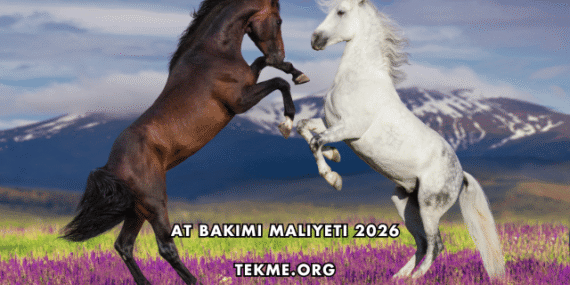 At Bakımı Maliyeti 2026