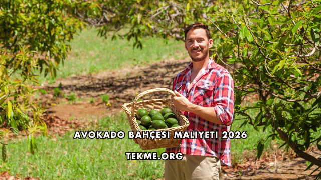 Avokado Bahçesi Maliyeti 2026