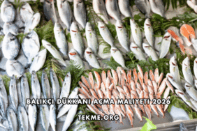 Balıkçı Dükkanı Açma Maliyeti 2026