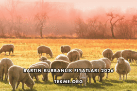 Bartın Kurbanlık Fiyatları 2026