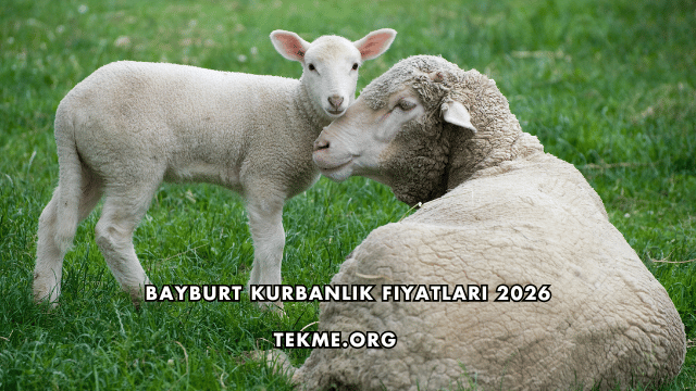 Bayburt Kurbanlık Fiyatları 2026