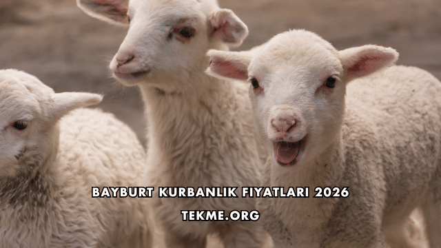 Bayburt Kurbanlık Fiyatları 2026