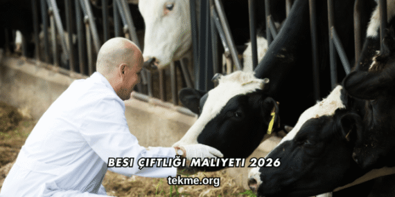 Besi Çiftliği Maliyeti 2026
