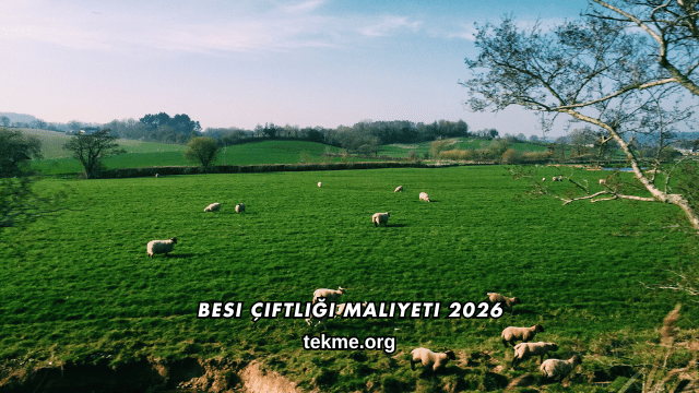 Besi Çiftliği Maliyeti 2026