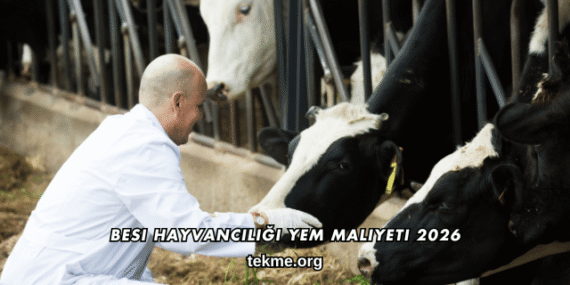 Besi Hayvancılığı Yem Maliyeti 2026