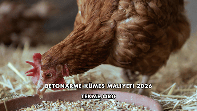 Betonarme Kümes Maliyeti 2026