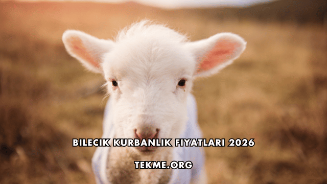 Bilecik Kurbanlık Fiyatları 2026