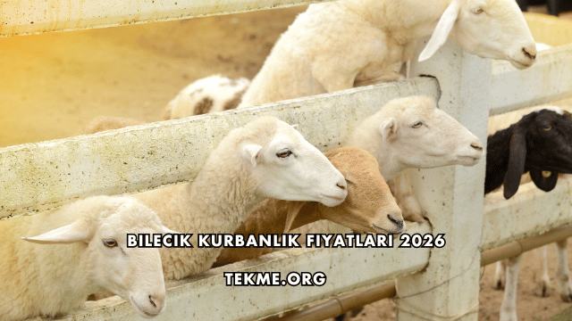 Bilecik Kurbanlık Fiyatları 2026