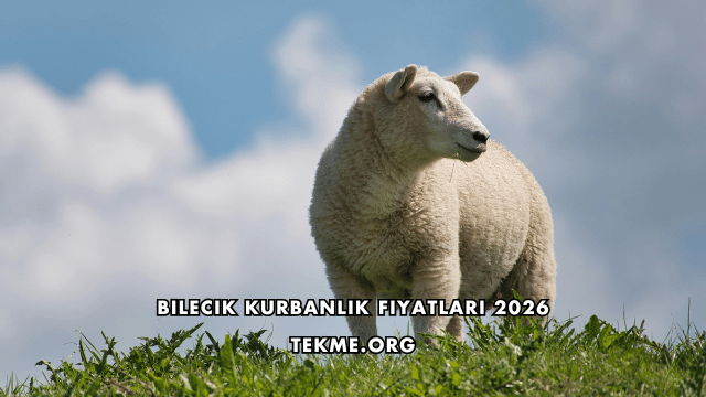 Bilecik Kurbanlık Fiyatları 2026