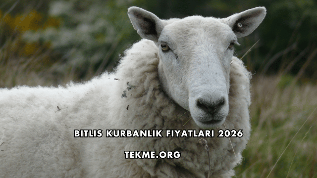 Bitlis Kurbanlık Fiyatları 2026