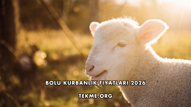 Bolu Kurbanlık Fiyatları 2026