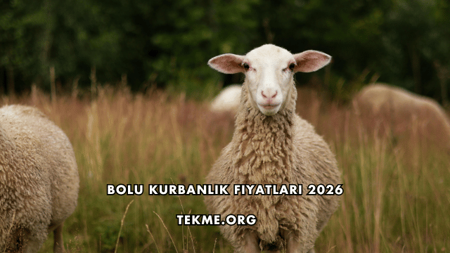 Bolu Kurbanlık Fiyatları 2026