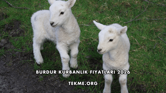 Burdur Kurbanlık Fiyatları 2026