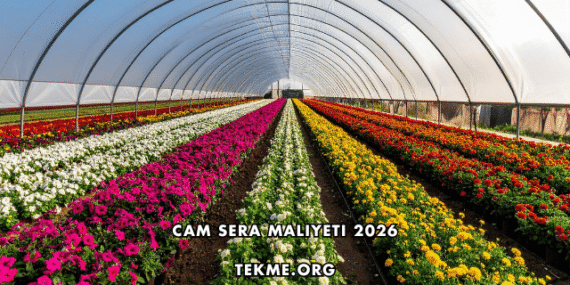 Cam Sera Maliyeti 2026