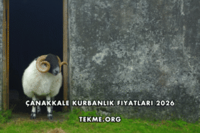 Çanakkale Kurbanlık Fiyatları 2026