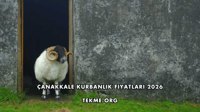 Çanakkale Kurbanlık Fiyatları 2026