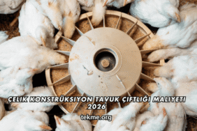 Çelik Konstrüksiyon Tavuk Çiftliği Maliyeti 2026