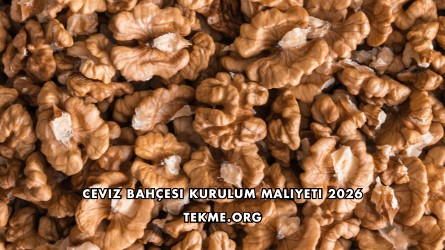 Ceviz Bahçesi Kurulum Maliyeti 2026