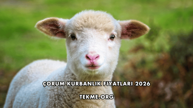 Çorum Kurbanlık Fiyatları 2026